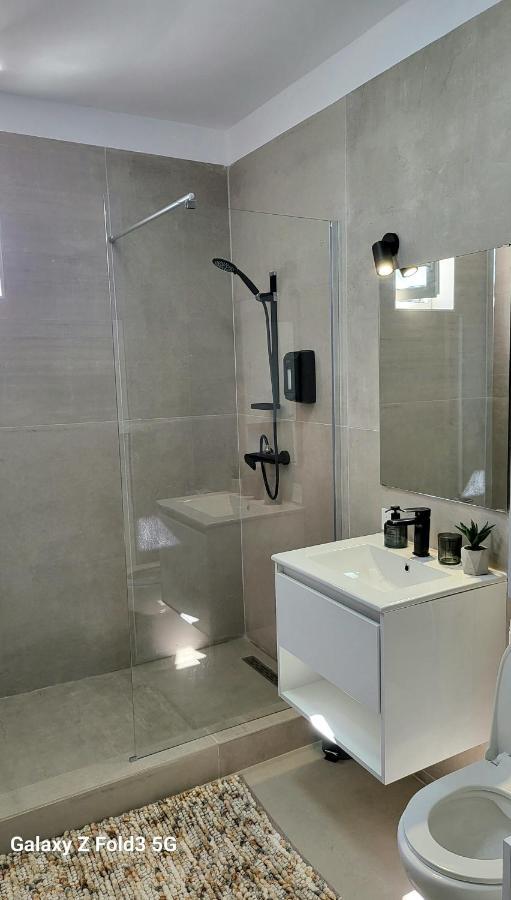 Floreşti David'S Place מראה חיצוני תמונה
