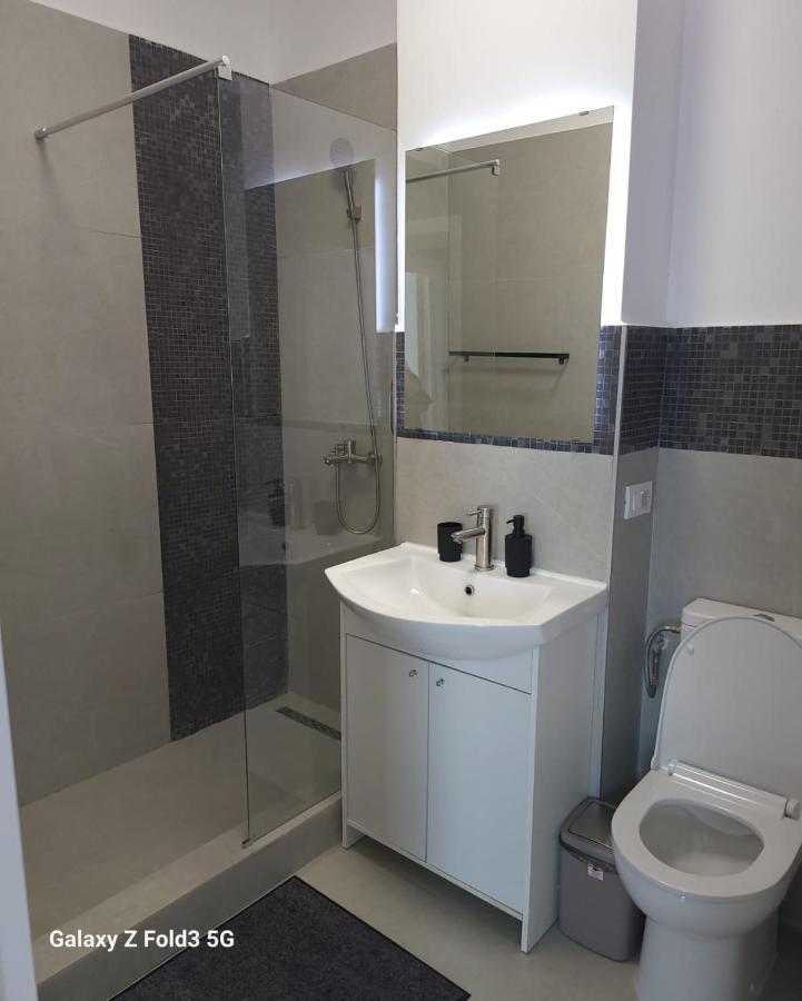 Floreşti David'S Place מראה חיצוני תמונה