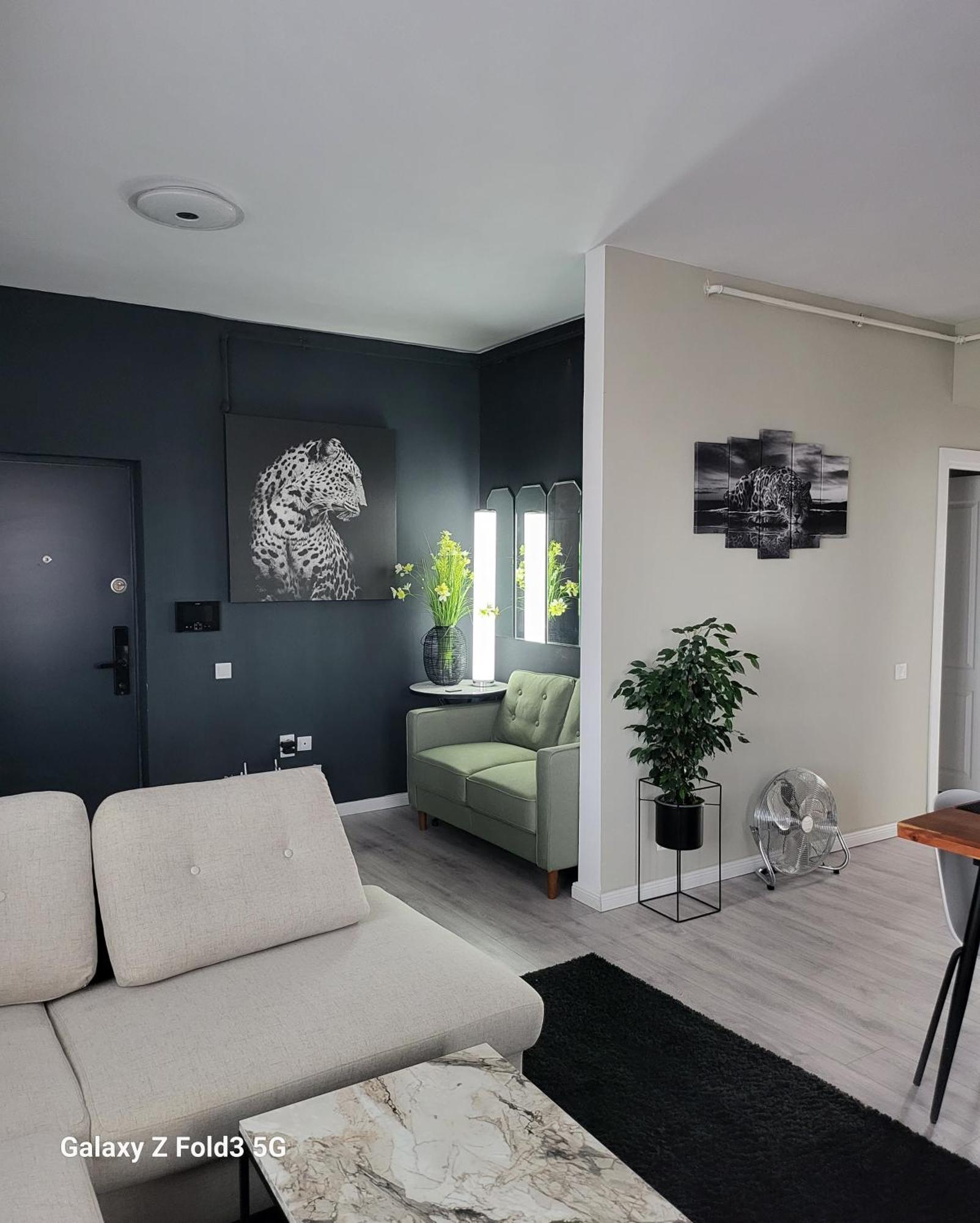 Floreşti David'S Place מראה חיצוני תמונה